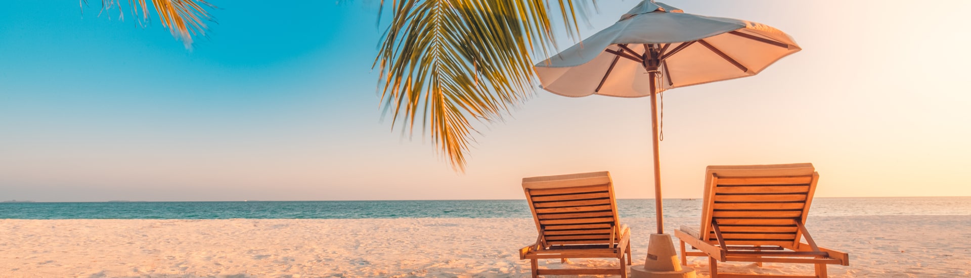 Scopri le migliori offerte